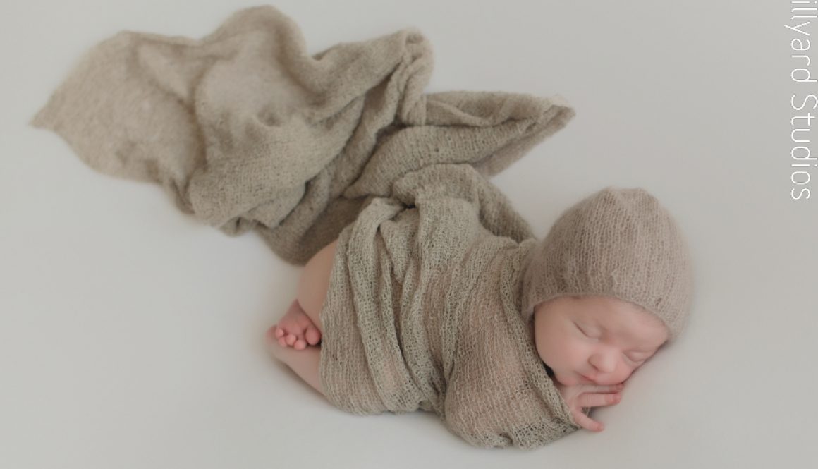 NH Newborn Photographer 1