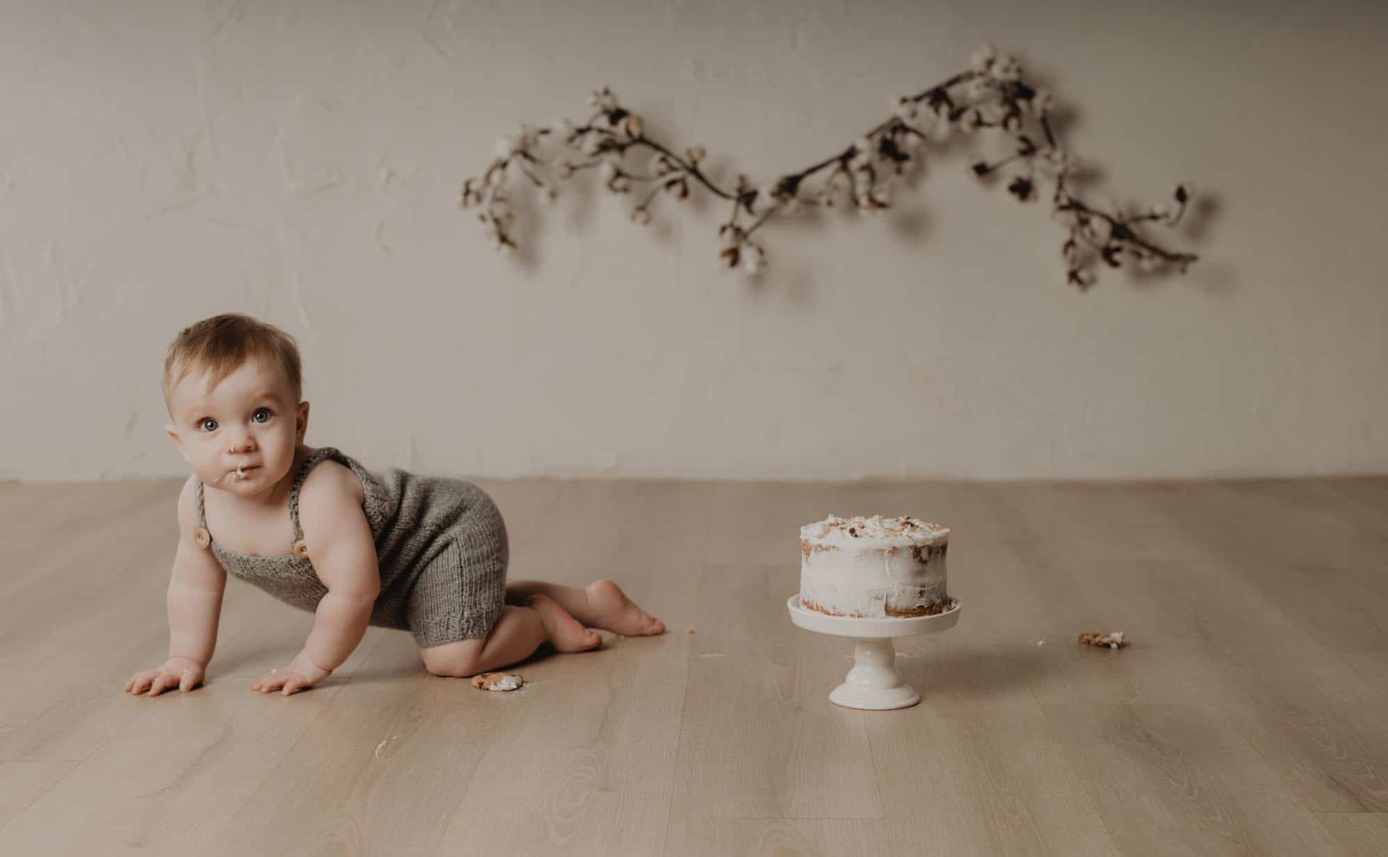 Baby Photographer NH