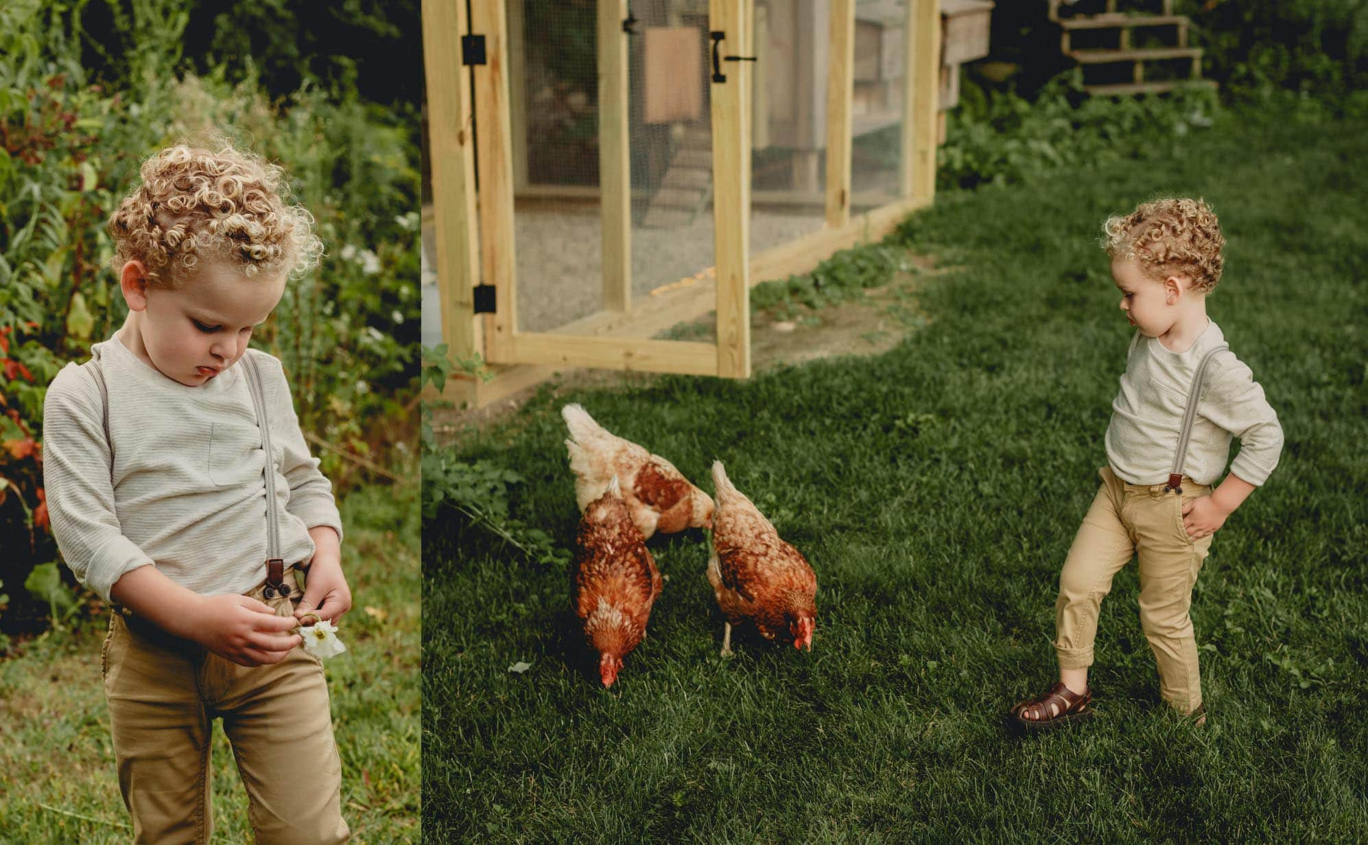 Family Photographer NH