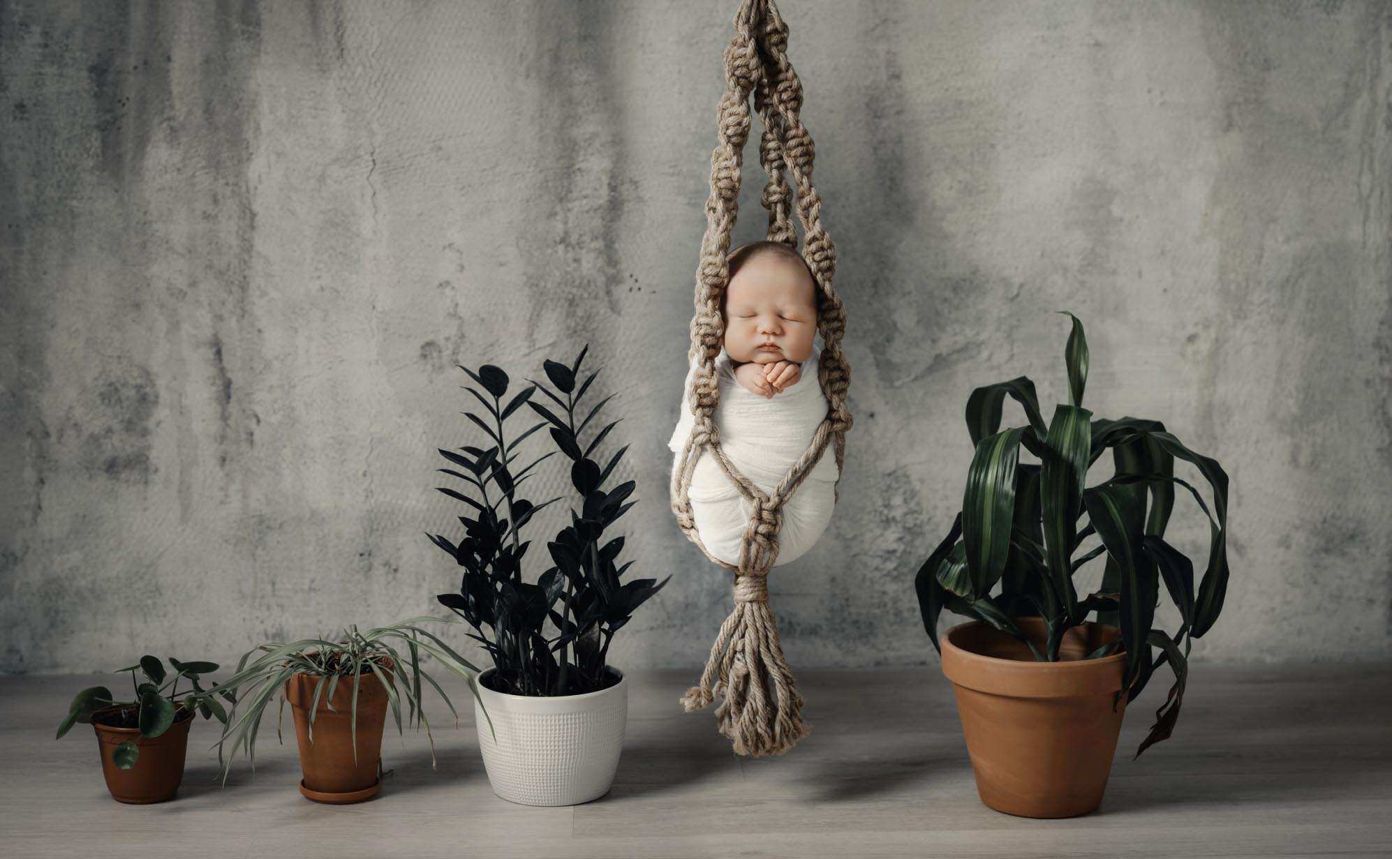 Newborn Photographer NH